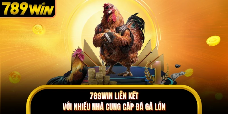 789WIN liên kết với nhiều nhà cung cấp đá gà lớn