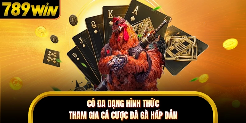 Có đa dạng hình thức tham gia cá cược đá gà hấp dẫn