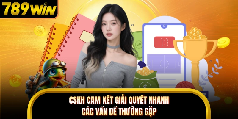 CSKH cam kết giải quyết nhanh các vấn đề thường gặp