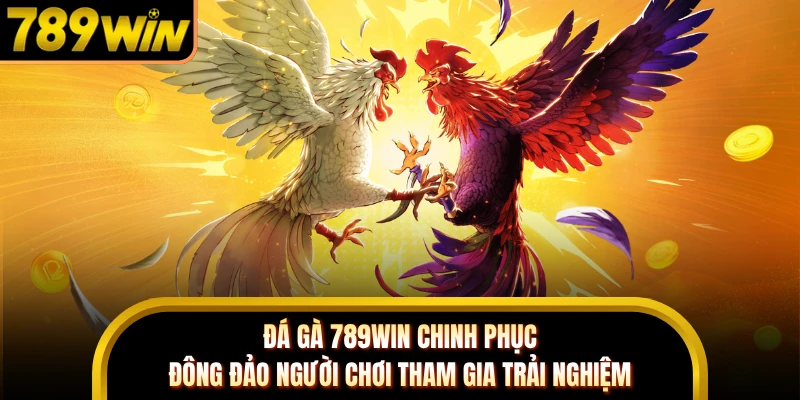 Đá gà 789WIN chinh phục đông đảo người chơi tham gia trải nghiệm