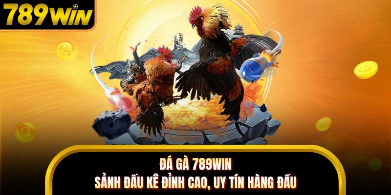Đá Gà 789WIN - Sảnh Đấu Kê Đỉnh Cao, Uy Tín Hàng Đầu