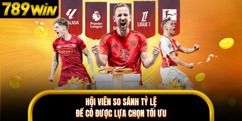 Hội viên so sánh tỷ lệ để có được lựa chọn tối ưu